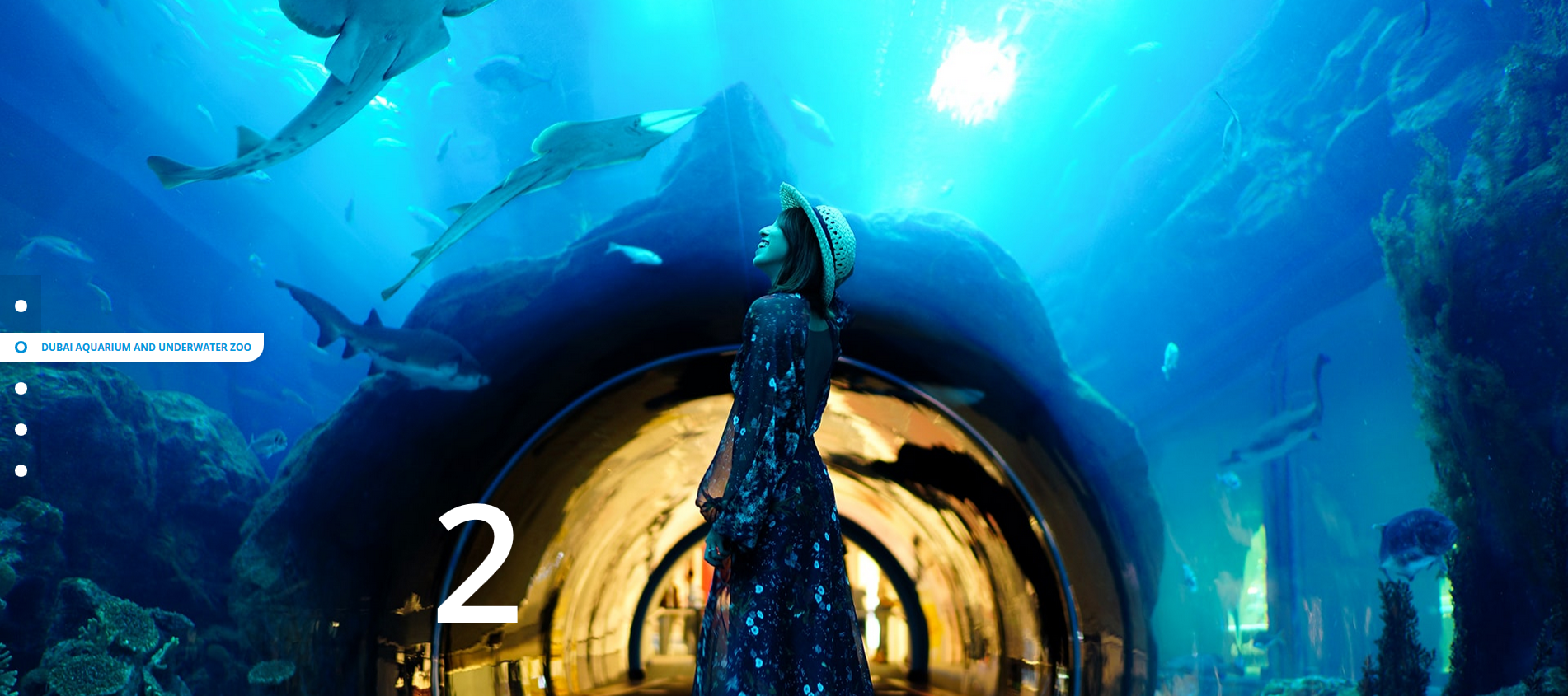 dubai aquarium and underwater zoo